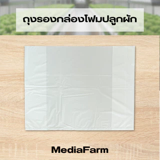 ถุงรองกล่องโฟม ถุงดำรองกล่องโฟม ถุงรองกล่องโฟมปลูกผัก