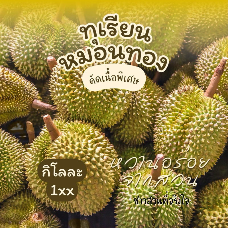 ทุเรียนหมอนทอง ส่งตรงจากสวน คัดเกรด ขนาด 3-3.5 กิโลกรัม มีรับประกัน