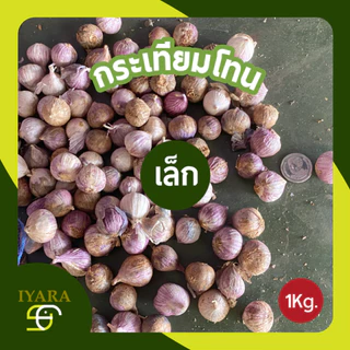กระเทียมโทน กระเทียมโทนสด 1กิโลกรัม