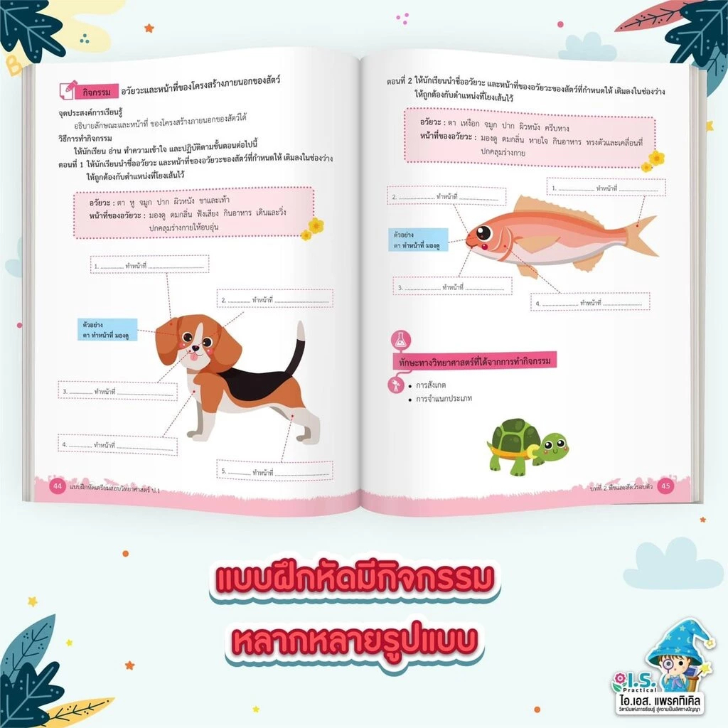 I.S. Practical แบบฝึกหัดเตรียมสอบวิทยาศาสตร์ ตามหลักสูตร สสวท. ป.1 - ป.3 - รูปที่ 7