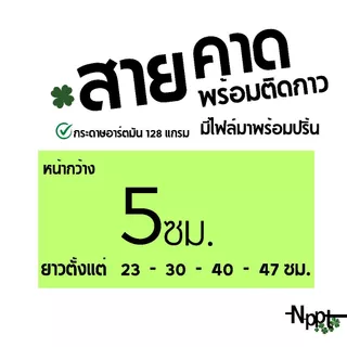สายคาดกล่อง พร้อมติดกาว แบบกระดาษ สะดวกใช้งาน ราคาถูก ส่งไว