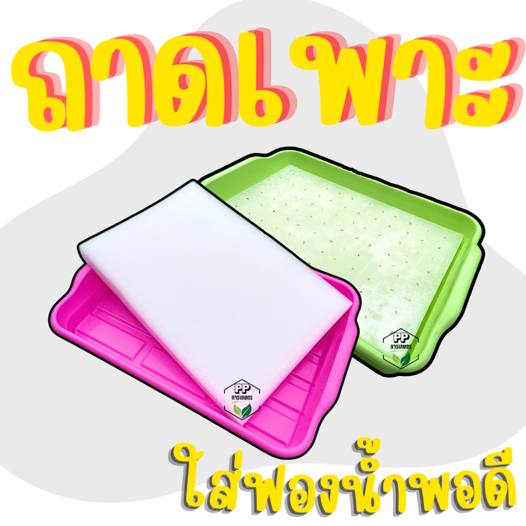 ถาดเพาะต้นกล้า ถาดเพาะผัก ถาดเพาะต้นกล้าไฮโดรโปนิกส์ ถาดเพาะเมล็ด ใส่ฟองน้ำได้พอดี (*คละสี*)