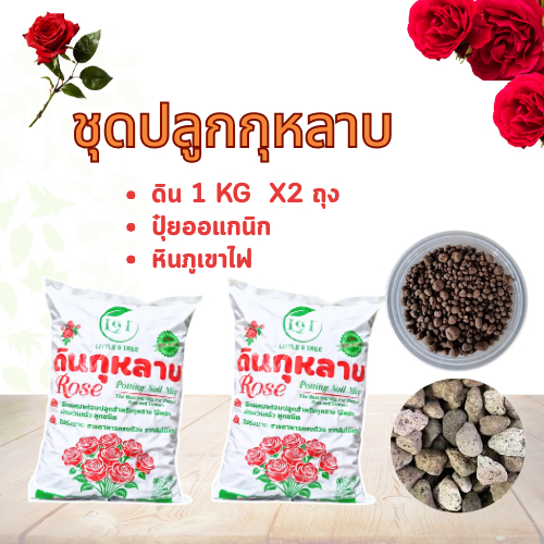 ชุดปลูกกุหลาบ สุดคุ้ม ดินปลูกกุหลาบดอกแดง ดินกุหลาบ