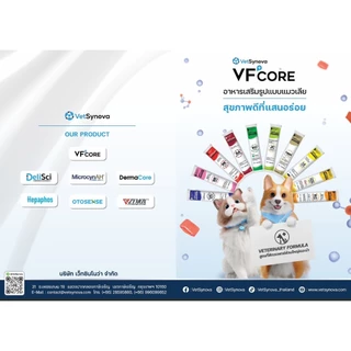 VF+Core ขนมแมวเลีย exp.07/27 (10ซอง/กล่อง 30 ซอง) มี 10 สูตร
