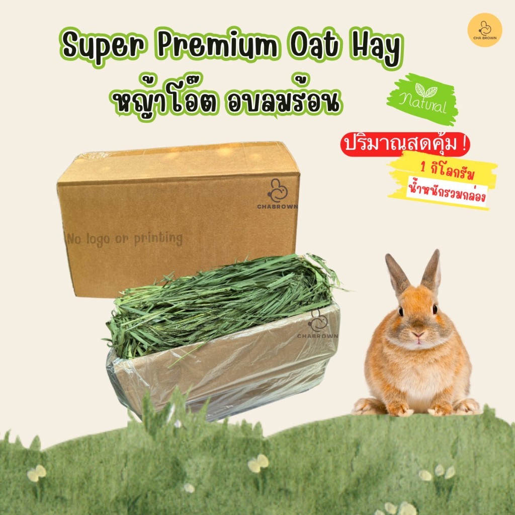 CBRF หญ้ากระต่าย หญ้าโอ๊ตอบลมร้อน Super Premium Oat Hay 1Kg. สำหรับกระต่าย สัตว์ฟันแทะ ไม่มีสกรีนลัง