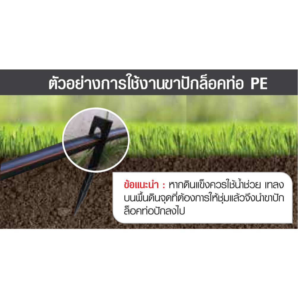 ขาปักล็อคท่อ PE (5/20อัน) ขนาด 16 - 32 มิล ขาปักยึดท่อ PE กับพื้นดิน ไชโย 392-1-16 - รูปที่ 6