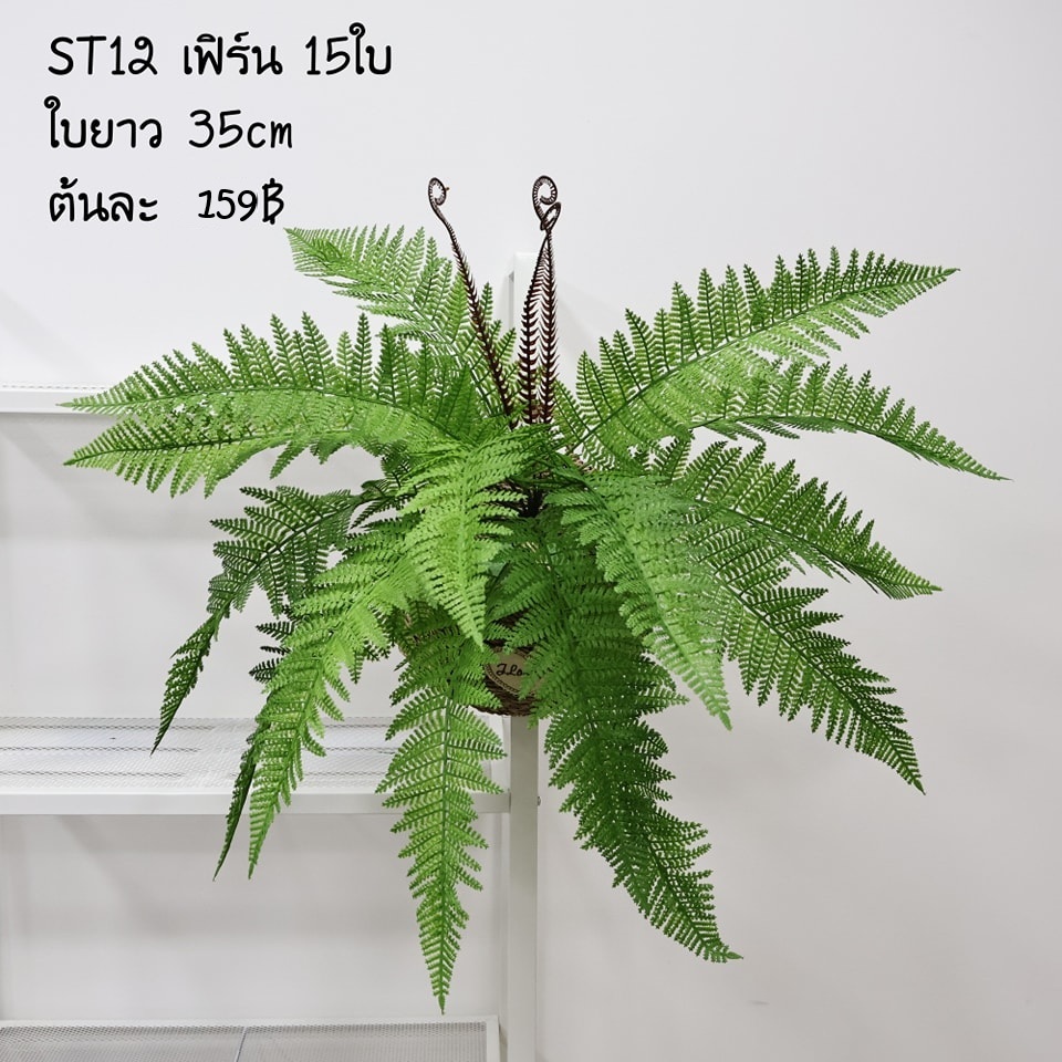 STพร้อมส่ง ต้นไม้ปลอม เฟิร์น6 แบบ ยาว 35 ซม.(เฉพาะต้น)