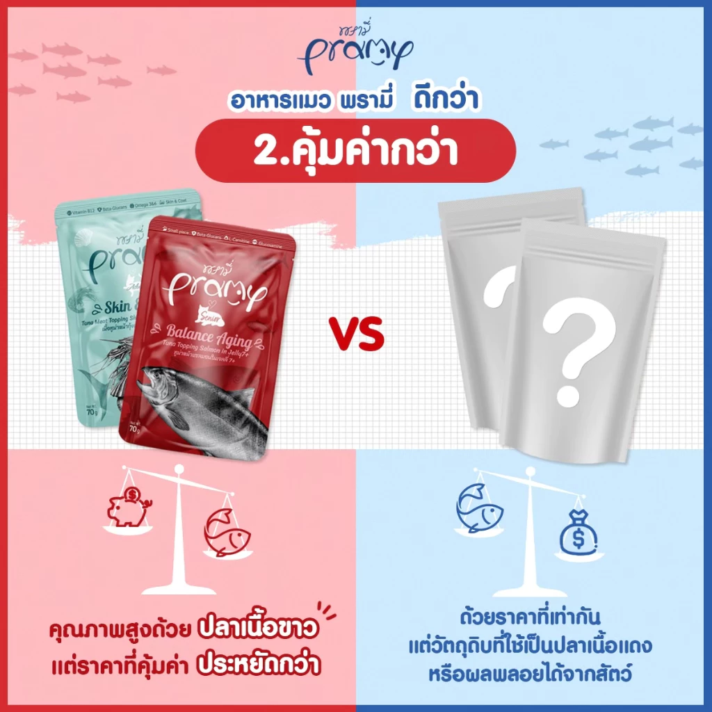 อาหารเปียกแมว PRAMY สูตร Functional ขนาด 70 กรัม 12 ซอง thumbnail 5