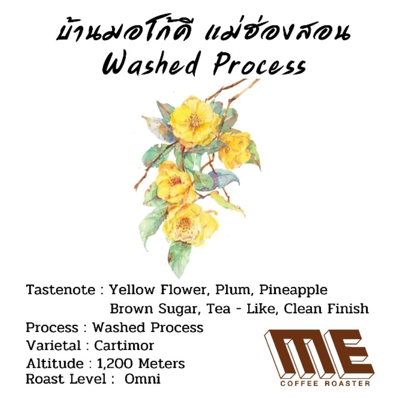 เมล็ดกาแฟบ้านมอโก้คี จ.แม่ฮ่องสอน Washed Process หอมแนวดอกไม้สีเหลือง,สัปปะรด 🍍