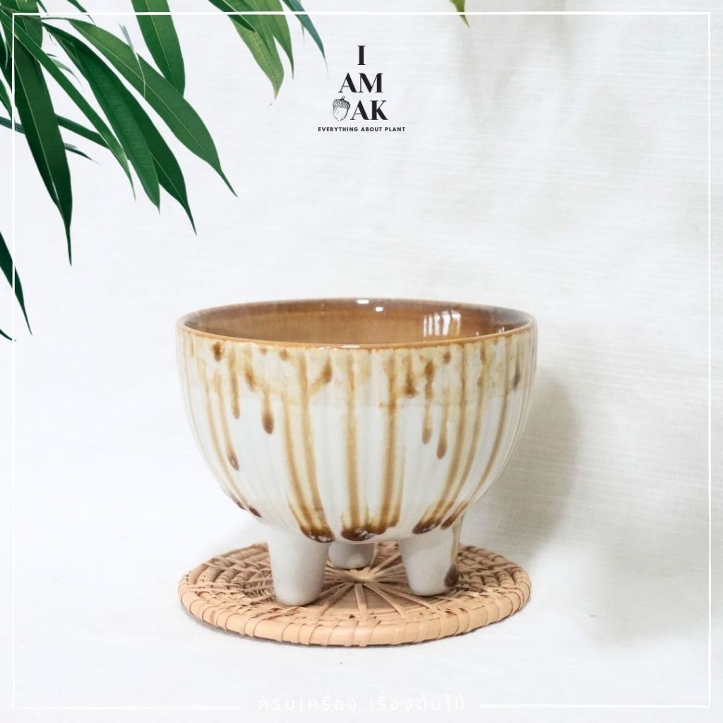 มุมมอง 3