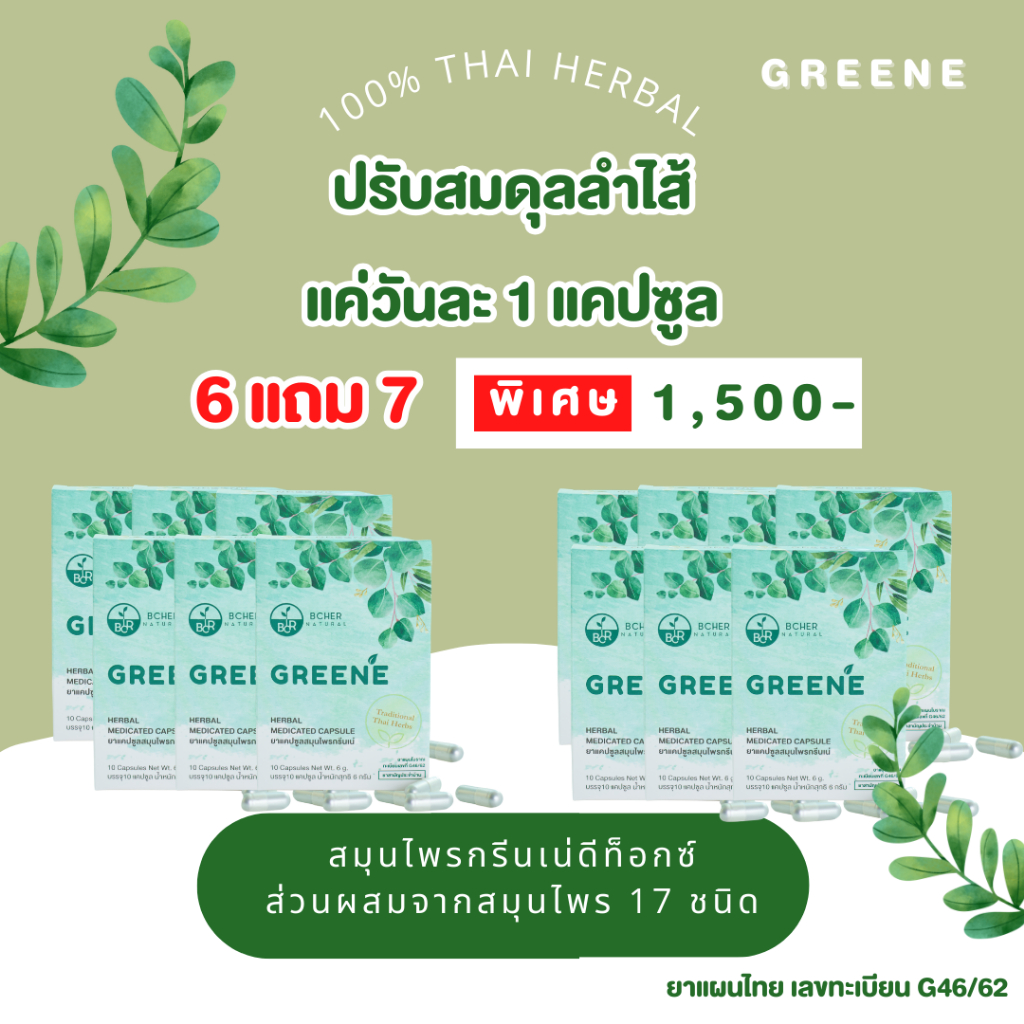 🌟[ ซื้อ 6 แถม 7 ] กรีนเน่ดีท็อกซ์ Greene Detox สมุนไพรดีท็อกซ์ ปรับสมดุลลำไส้ ส่วนผสมสมุนไพร 17 ชนิด