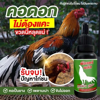 พ๊อตทรีพลัสคอดอกคอดังคอดังเรื้อรัง