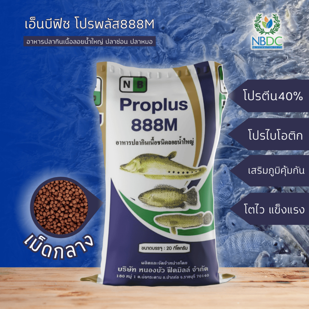 NB Fish Proplus เอ็นบีโปรพลัส 888M โปรตีน40% สูตรอาหารปลากินเนื้อ อาหารปลาช่อน ปลาหมอ เม็ดกลาง NBDC