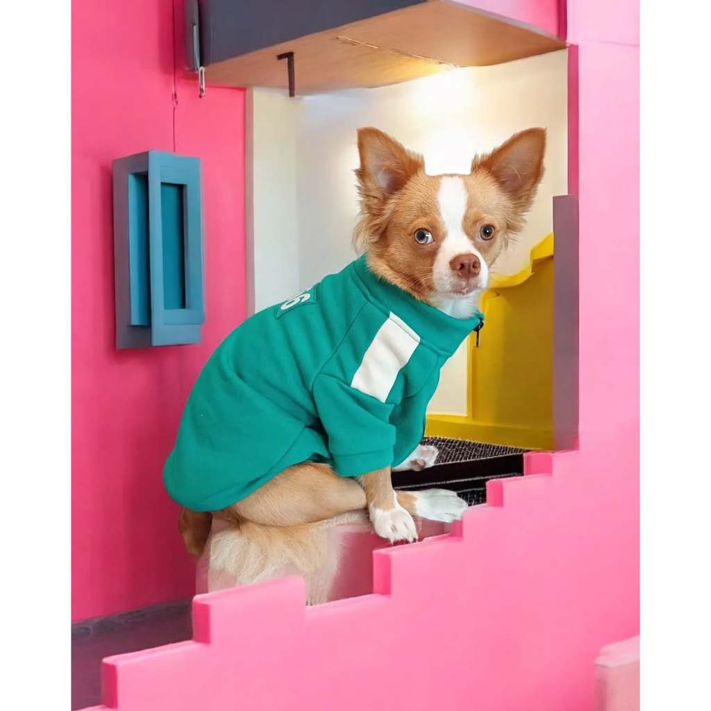 🎈พร้อมส่ง🎈 ชุดผู้เล่น 456 Squid game 🔺◽️🔵 ชุดหมาสควิดเกม สควิดเกม ชุดสควิดเกมหมา ชุดหมา