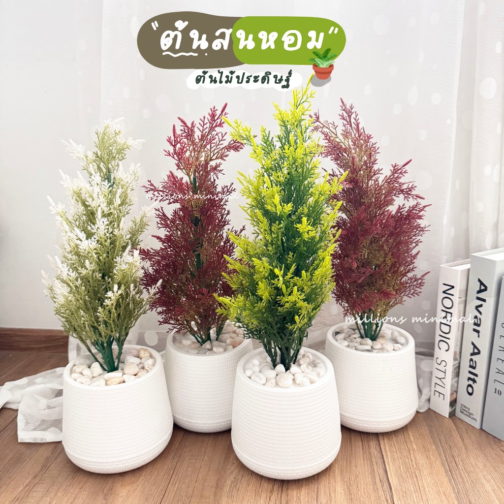 🌲ต้นสนหอมปลอม – ต้นไม้ประดิษฐ์ตกแต่งบ้านสไตล์มินิมอล ✨🌲