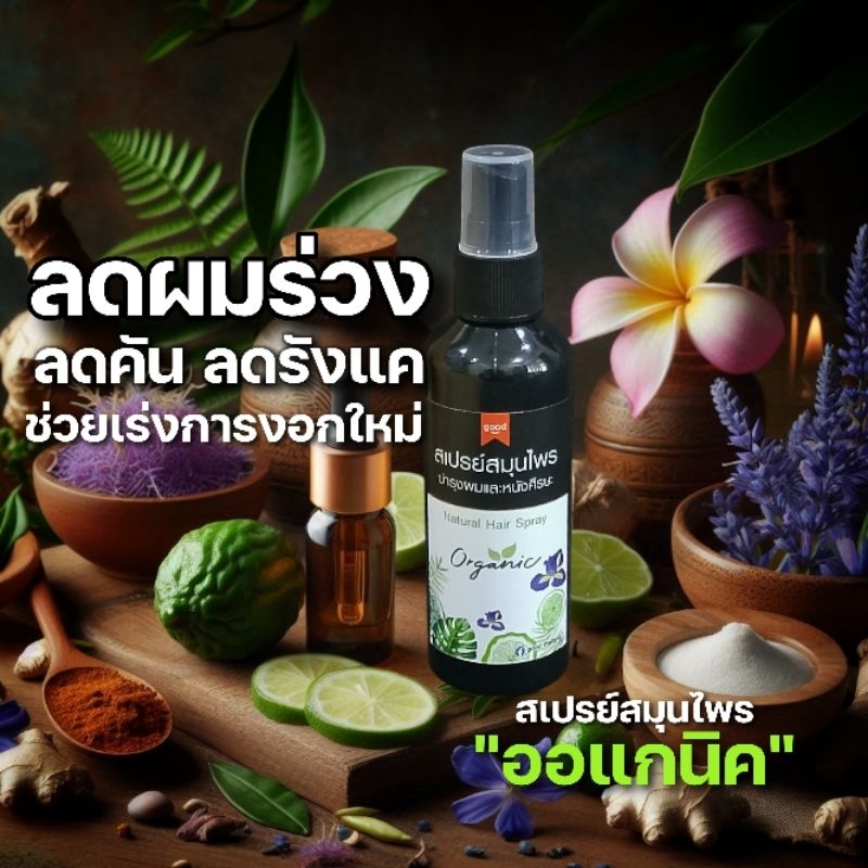 สเปรย์สมุนไพรบำรุงผมและหนังศีรษะ แฮร์โทนิค  ช่วยรากผมแข็งแรง เร่งการงอก สเปรย์ลดผมร่วง Hair Tonic