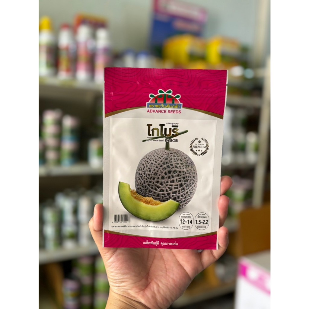 เมล็ดผลไม้ เมล่อน แคนตาลูป แตงโม ตราตะวันต้นกล้า - รูปที่ 7