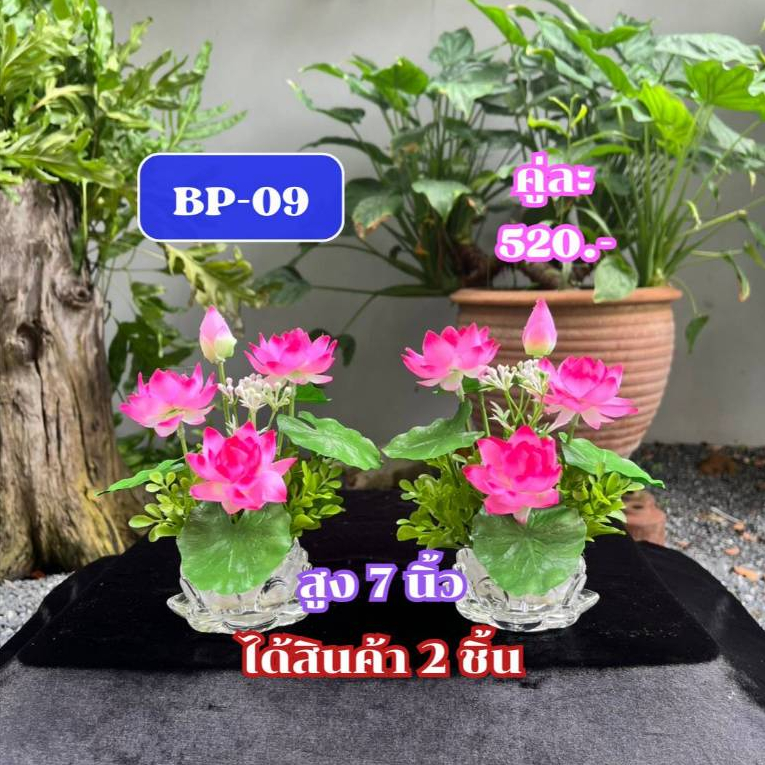 ฺBP-09 พานบัวคู่สีชมพู สูง 7 นิ้วได้ 2 ชิ้น