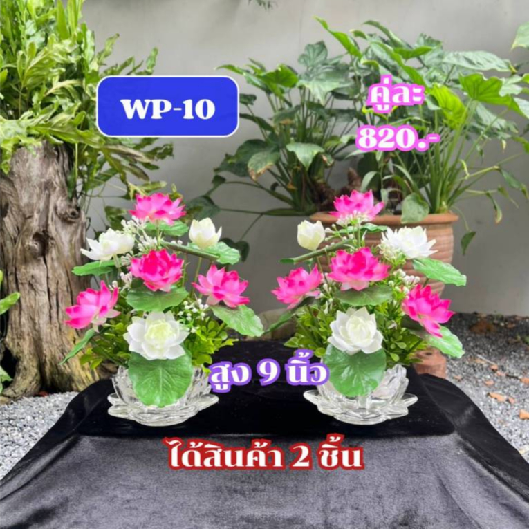 WP-10 พานบัวคู่สีชมพู-ขาว สูง 9 นิ้ว ได้ 2 ชิ้นดอกไม้บูชาพระ