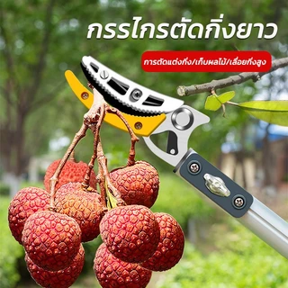 MKMK กรรไกรตัดกิ่ง ยืดไสลด์ 1.8-4M ตัดกิ่งไม้เร็ว กรรไกรตัดหนีบผลไม้ด้ามยาว กรรไกรเก็บผลไม้ กรรไกรตัดกิ่งไม้