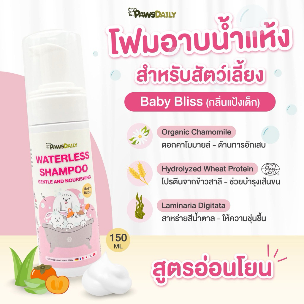 PAWSDAILY โฟมอาบน้ำแห้ง สุนัข แมว และ Exotic pets