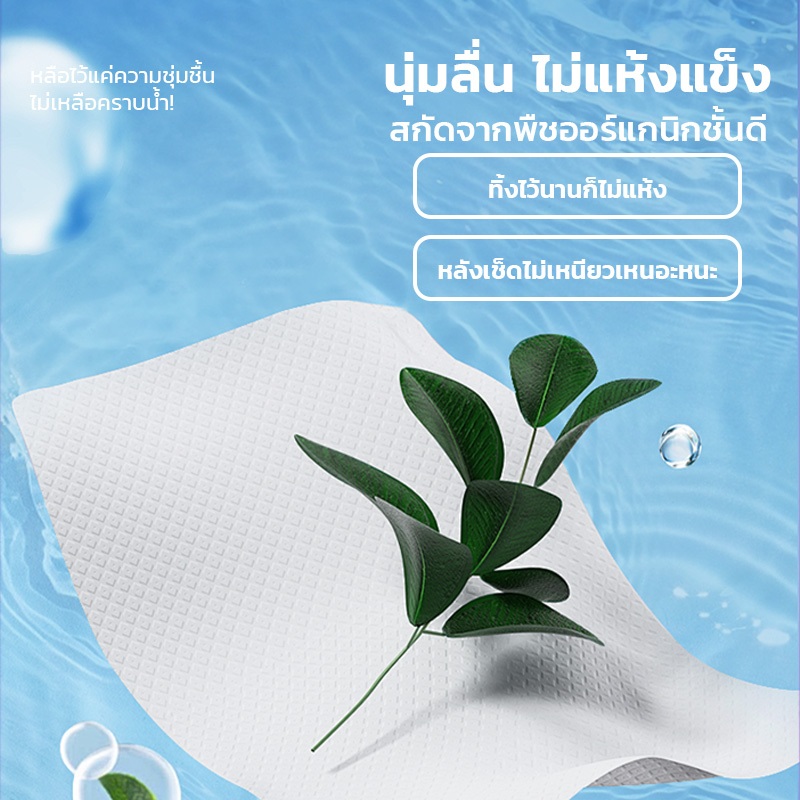 ผ้าเช็ดทำความสะอาดสัตว์เลี้ยง Pet Wipes ผ้าเปียกหมา นุ่มและอ่อนโยน ไม่มีแอลกอฮอล์ สำหรับเช็ดขนสัตว์เลี้ยง【80 แผ่น】 - รูปที่ 2