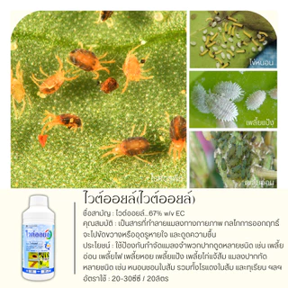 ไวต์ออยล์ 1ลิตร (ไวต์ออยล์) ป้องกันเพลี้ยหอย เพลี้ยไฟ เพลี้ยแป้ง เพลี้ยไก่แจ้ส้ม ไรแดง แมลงหวี่ขาว