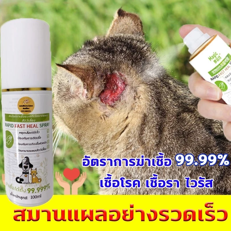🐱สเปรย์แผลสัตว์ มีผลตั้งแต่ 1สเปรย์🐶3 แถม 1 สเปรย์สมานแผลสำหรับสัตว์เลี้ยง สเปรย์พ่นแผล แผลแห้งเร็วมาก ยับยั้งแบคทีเรีย