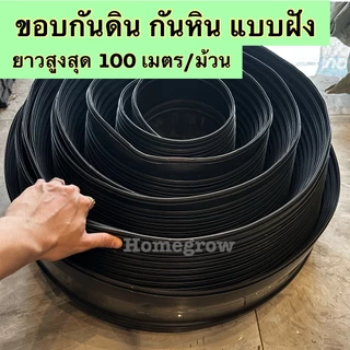 ขอบกั้นดิน แบบฝังดิน สีเขียว ดำ วัสดุPE สูง10ซม [ตัดแบ่งขาย] ขอบกั้นจัดสวน กั้นพื้นที่