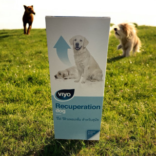 Viyo Recuperation Dog ดูแลช่วงพักฟื้น 150 ml