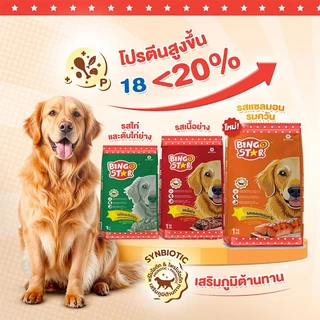 Bingo Star Adult Dog Food อาหารสุนัขโต บิงโกสตาร์ ชนิดเม็ด 1 kg เสริมภูมิต้านทาน โปรตีนสูง สำหรับสุนัขทุกสายพันธุ์