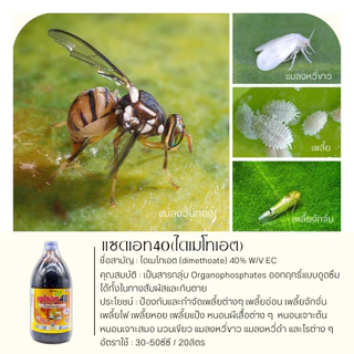 แซดเอท40 1ลิตร (ไดเมโทเอต) กำจัดแมลง เพลี้ยอ่อน เพลี้ยไฟ เพลี้ยแป้ง แมลงหวี่ขาว หนอน