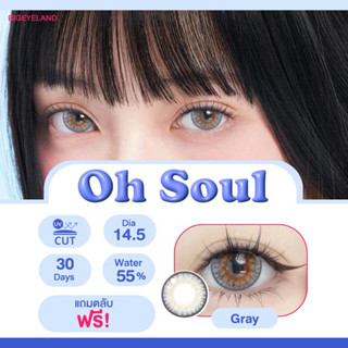 คอนแทคเลนส์ รุ่น Oh soul สีเทา/ตาล Gray/Brown มีสายตา (0.00)…