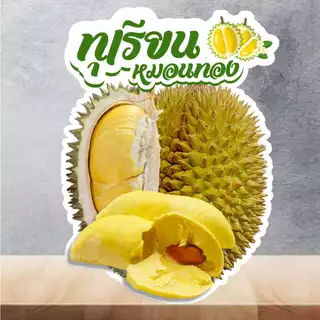 ป้ายผลไม้ ป้ายฟิวเจอร์บอร์ด/เคลือบแข็ง ตัดตามรูปทรง ขนาด A4/A3