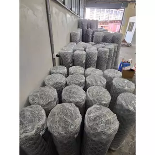 ASV ลวดตาข่ายถัก ชุบกัลวาไนท์ #12 / ขนาดตา 2 นิ้ว (2x1/4") (ตาทั่วไป) / 1.5 x 10 เมตร (สูง x ยาว)
