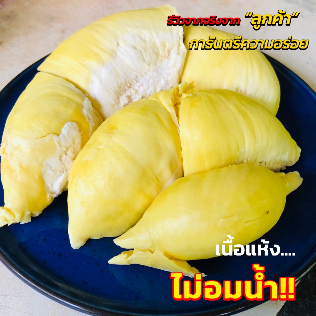 ทุเรียนจันทบุรีเนื้อพรีเมียม ยอดขายเยอะที่สุดทุเรียนหมอนทอง คัดเนื้อเทพไม่เน้นทรง เนื้อเหลือง เนื้อตลาดที่คนไทยกิน