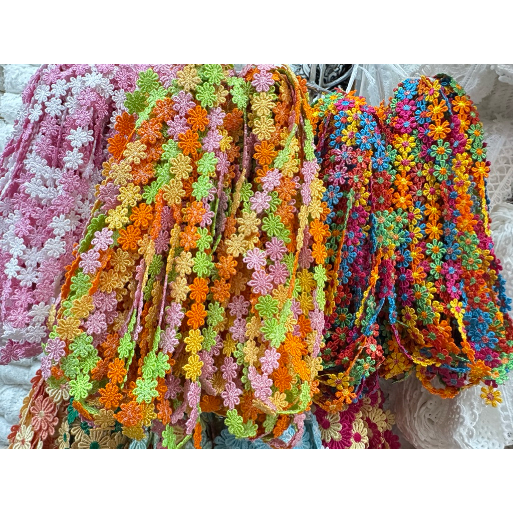ดอกเดซี่จิ๋ว เส้นละ15หลา 230฿