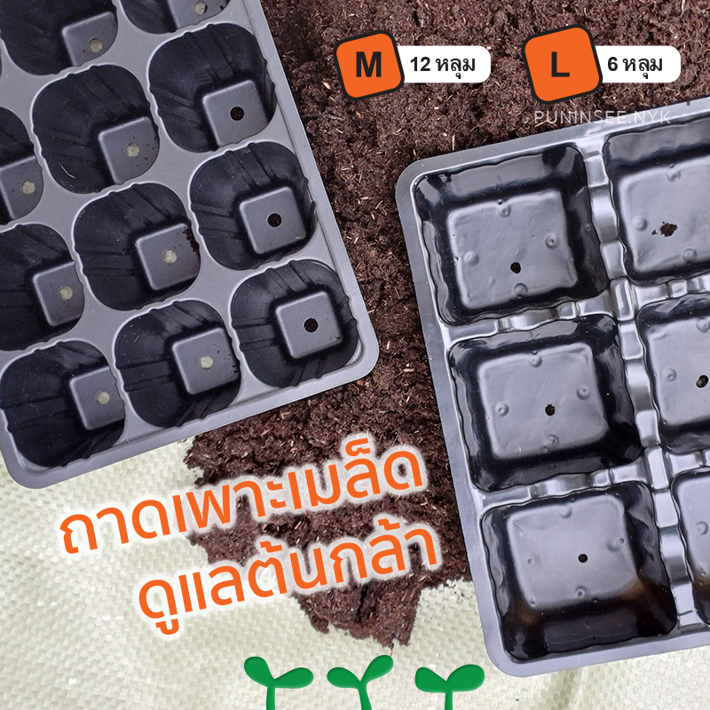 ถาดเพาะเมล็ด ต้นกล้า ขนาดกระทัดรัด (Hole Tray) เหมาะสำหรับเพาะเมล็ด 12 หลุม/6 หลุม ใช้ซ้ำได้