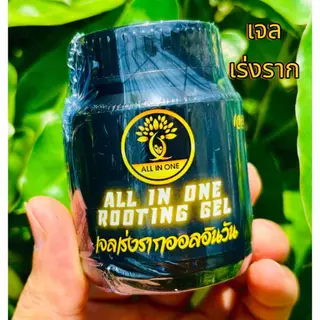 เจลเร่งราก ฮอร์โมนเร่งรากแบบเจล ขนาด 120 ml. ออลอินวัน