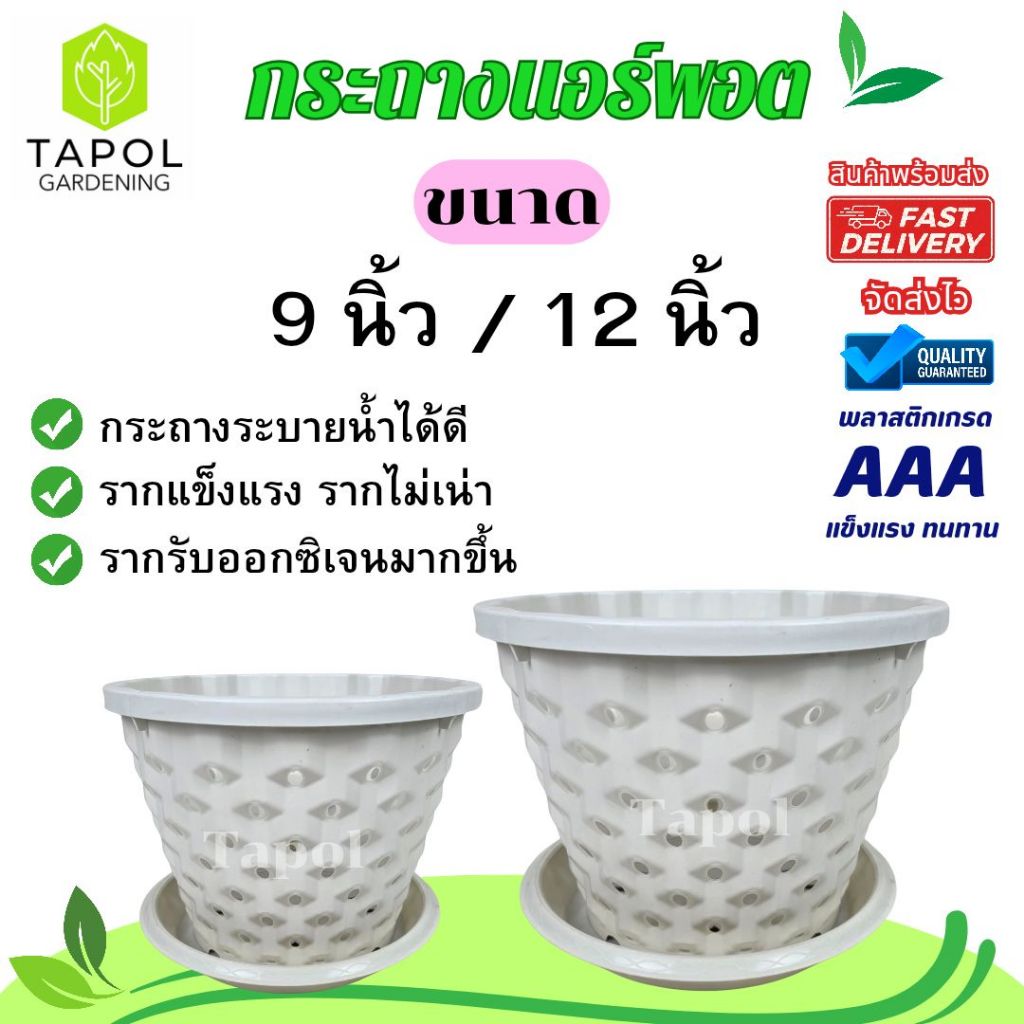กระถางแอร์พอต ขนาด 9 นิ้ว / 12 นิ้ว กระถางระบายน้ำได้ดี รากแข็งแรง รากไม่เน่า พลาสติกคุณภาพดี ทนทาน น้ำหนักเบา ราคา ถูกที่สุด ดีลบีเคเค