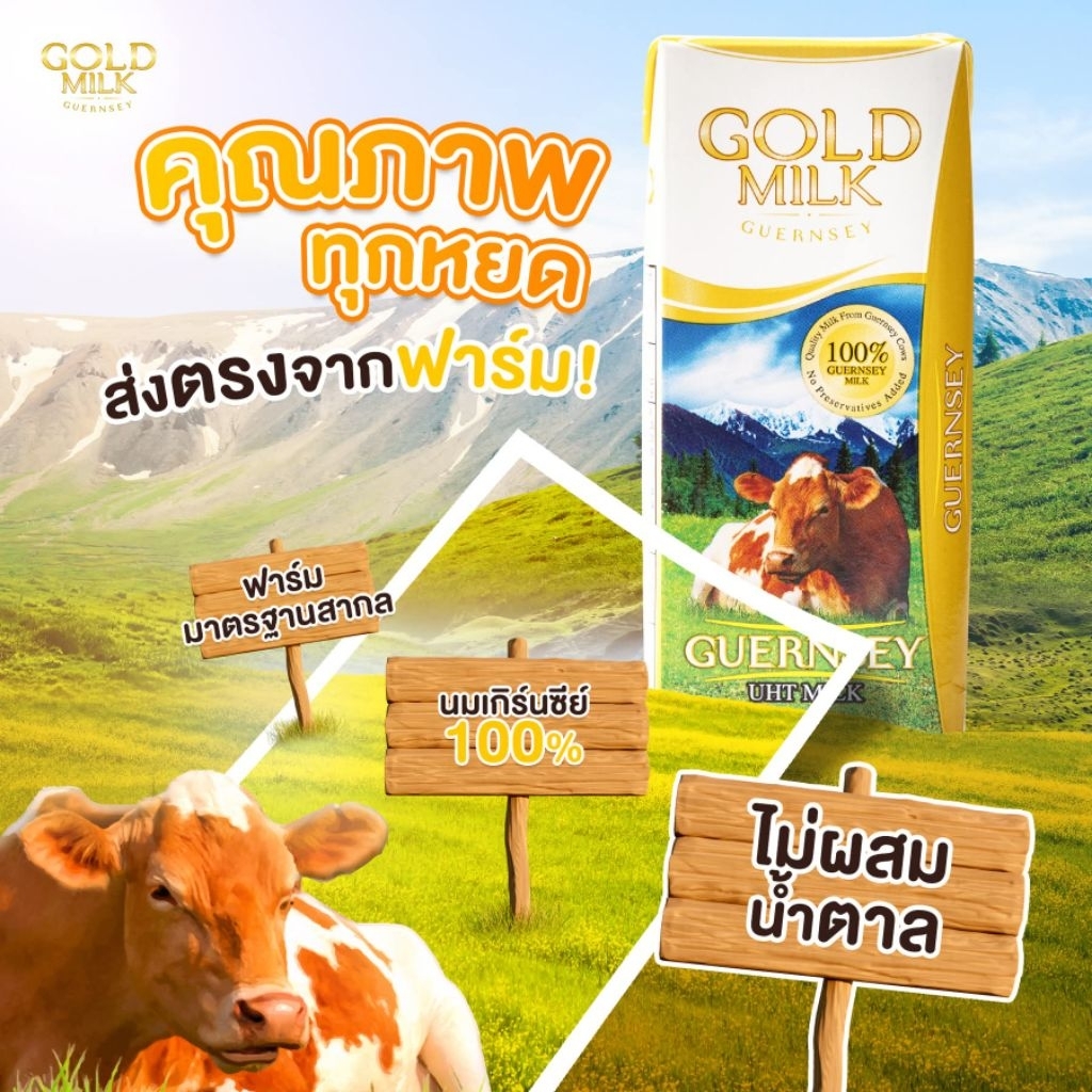 ส่ง 27 เม.ย. เพิ่มปริมาณเป็น 200 ml.นมโกลด์มิลค์ Gold Milk Guernsey นมวัวแท้  %ไม่ผสมนมผง ส่งฟรีจากฟาร์ม ราคา ถูกที่สุด ดีลบีเคเค แกลเลอรีภาพที่ 3