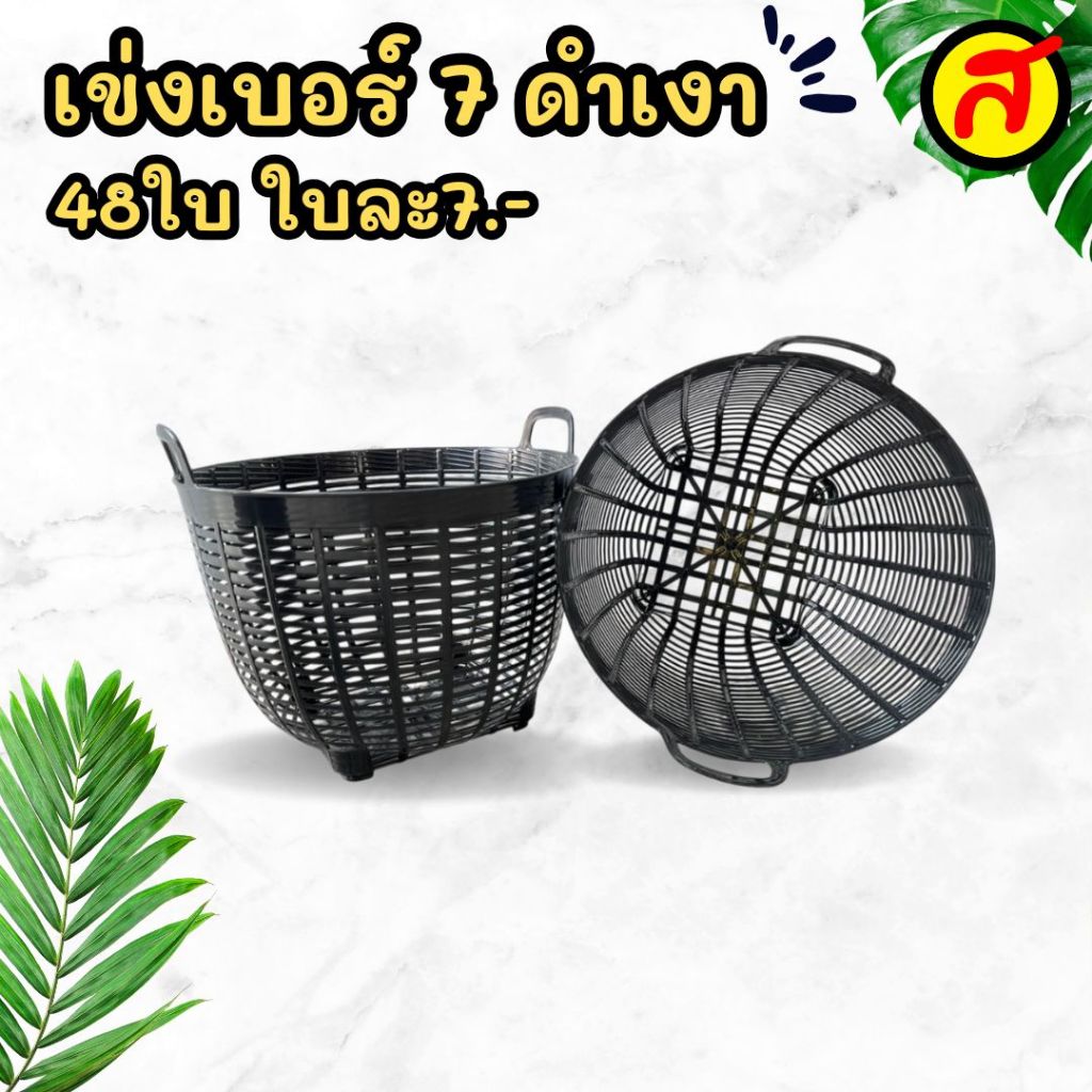 รูปภาพ 8