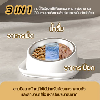 【ลดเหลือ 69】PETCENTRAL ชามอาหารสัตว์เลี้ยง กันมด สแตนเลส กันหก ถอดล้างได้ สำหรับแมวและสุนัข Pet Bowl