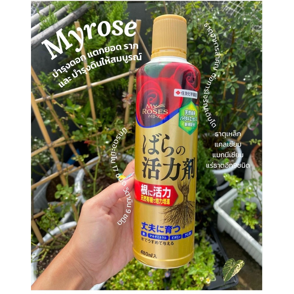พร้อมส่ง My Rose 🌹ปุ๋ยน้ำสูตรสีทอง พร้อมสารอินทรีย์ตามธรรมชาติ ขนาด480ml.
