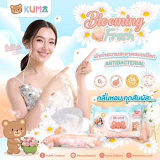 KUMA กระดาษทิชชู่เปียก รุ่นฝาปิด 40 แผ่น มี 2 สูตร คละสี บูมมิ่งเฟรช ปราศจากแอลกฮอล์ ไม่แพ้ ไม่ระคายเคือง ฝาล็อค 2 ชั้น