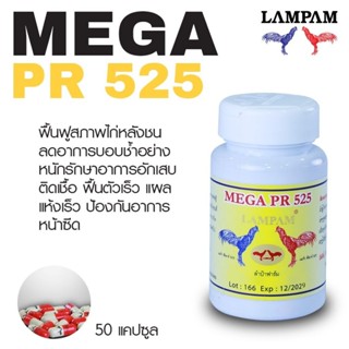 LAMPAM ลำปำ PR525 ฟื้นฟูหลังชn (50 แคปซูล)