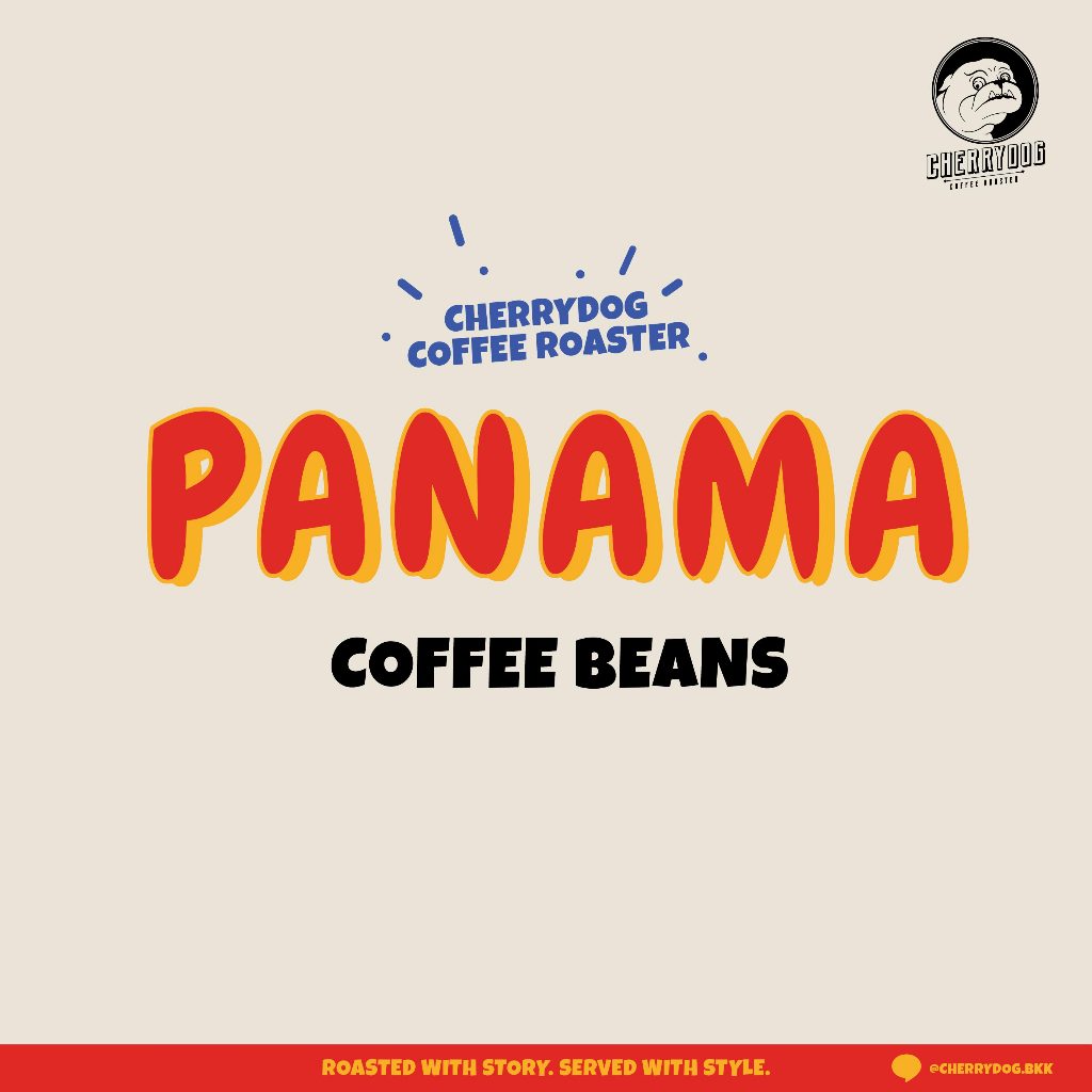 Cherrydog | เมล็ดกาแฟ คั่วอ่อน ปานามา Panama  | Single Origin (Filter) | อาราบิก้า 100%