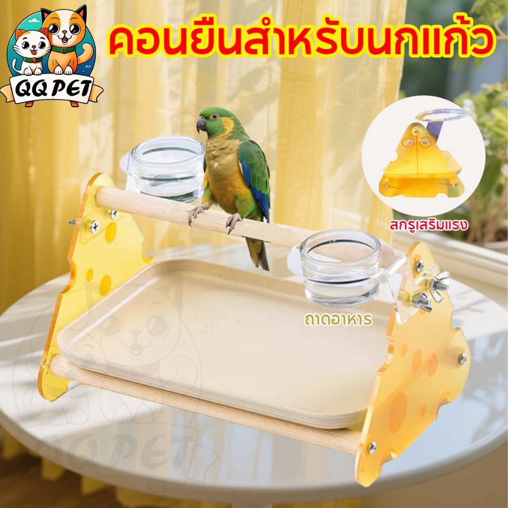 QQPET คอนยืนนกแก้ว คอนลับเล็บนก คอนยืนสำหรับนกแก้ว มีถาดรอง คอนหัดยืนและลับเล็บสำหรับนกแก้วทุกสายพันธุ์