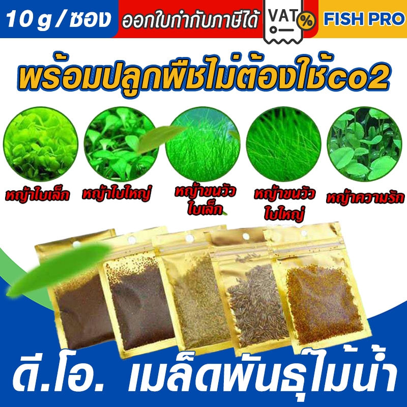 ดี.โอ. เมล็ดพันธ์ุไม้น้ำ ต้นไม้ปลูกในน้ำ อ่างปลา บ่อปลา อ่างบัว มี 7 ชนิด 10กรัม/ซอง ​

<p>“><center></p>
<h4></h4>
<p><p><font color=