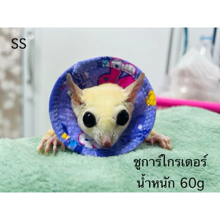 คอลล่าชูการ์ ปลอกคอกันเลียชูการ์ กระรอก แฮมเตอร์ งานไทยพร้อมส่ง